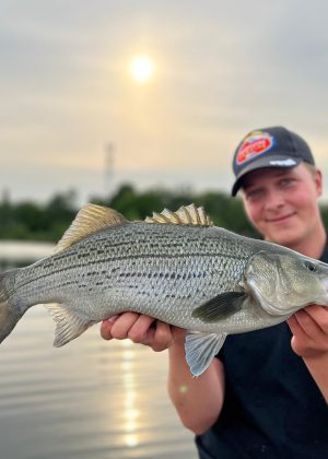 Striper voor Sander bij fishing adventure