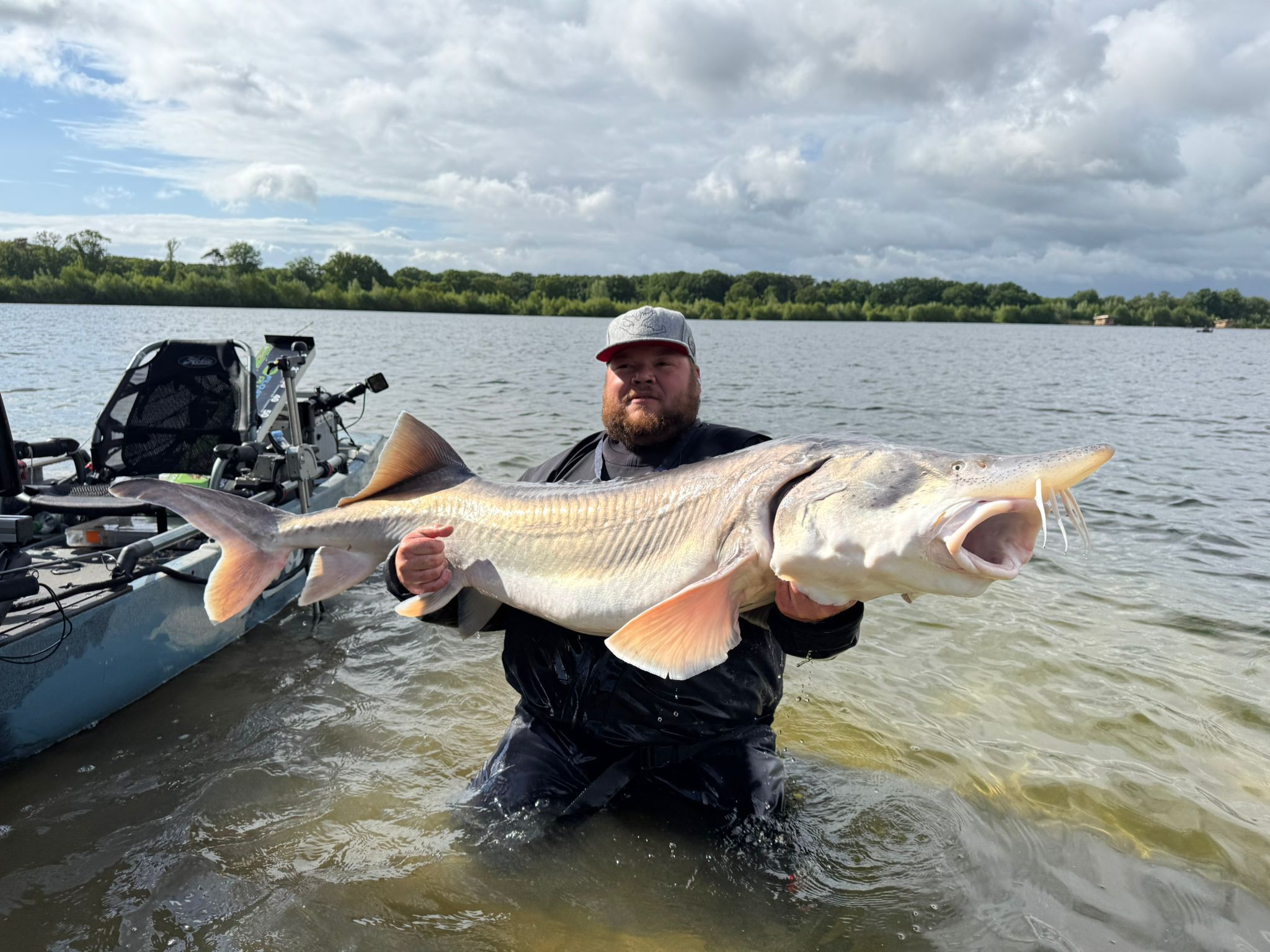 Bellyfiction 2025 Sturgeon