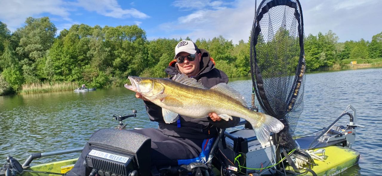 Bellyfiction huge pike perch 2025