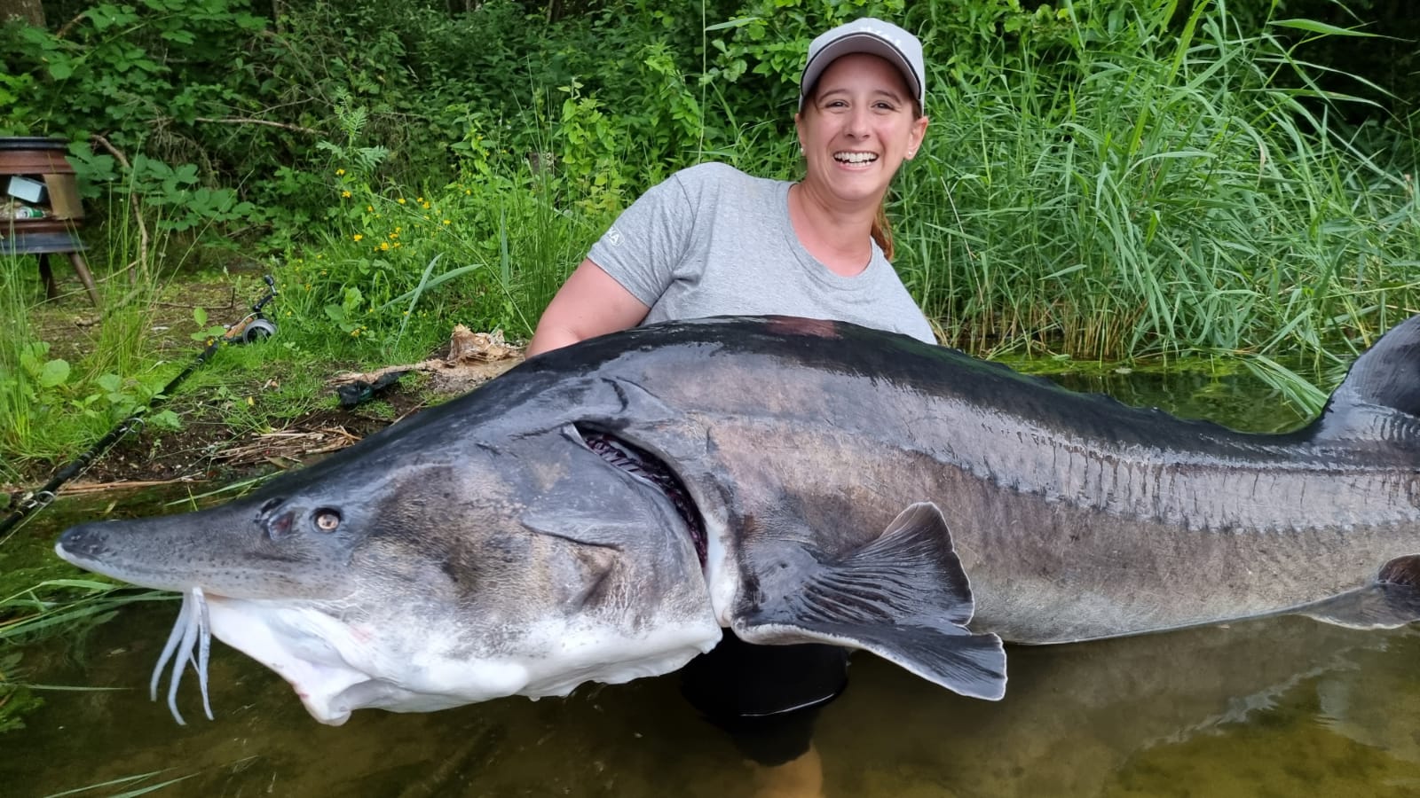 Fishing Adventure Steur