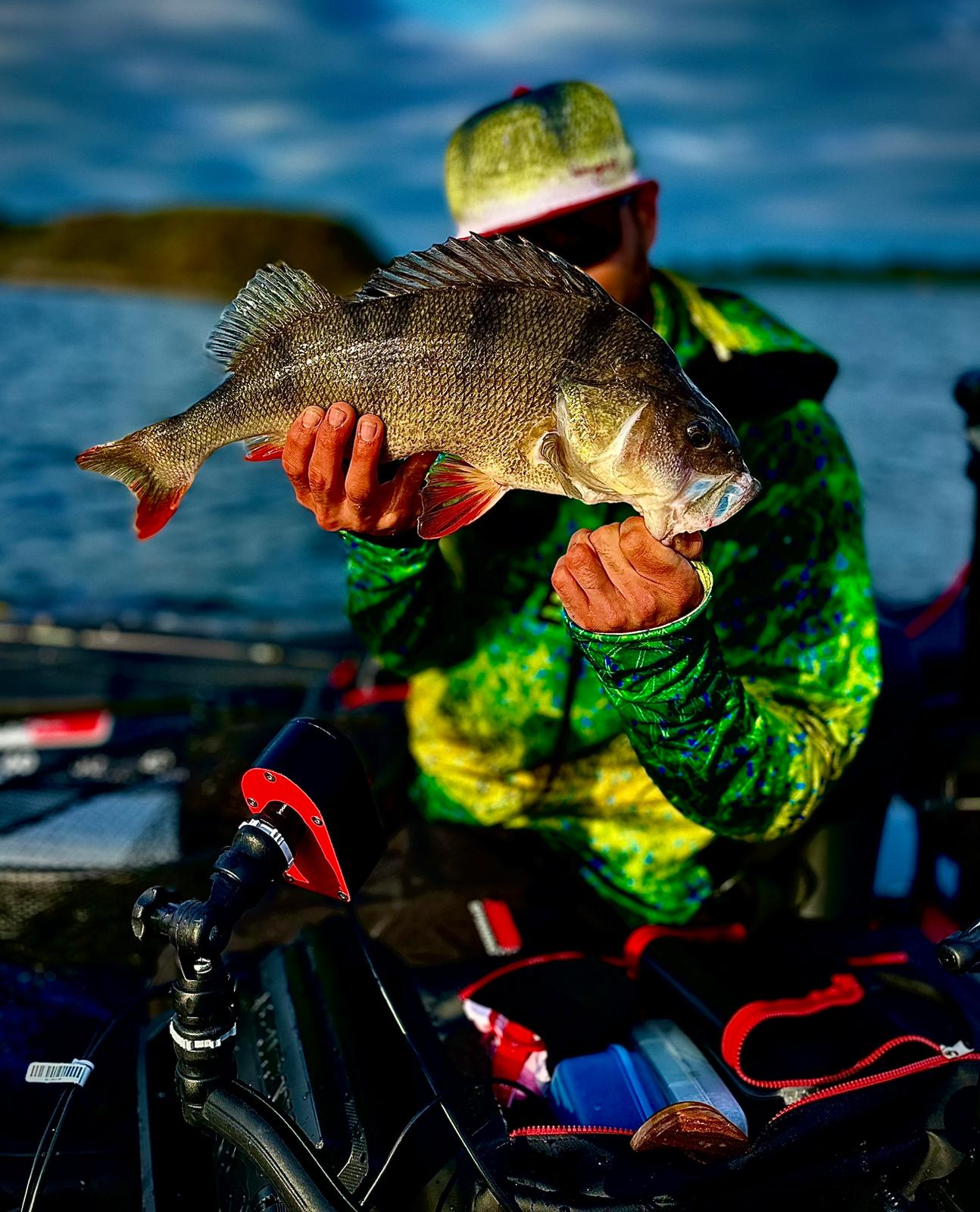 Perch at Fishing Adventure Enschede